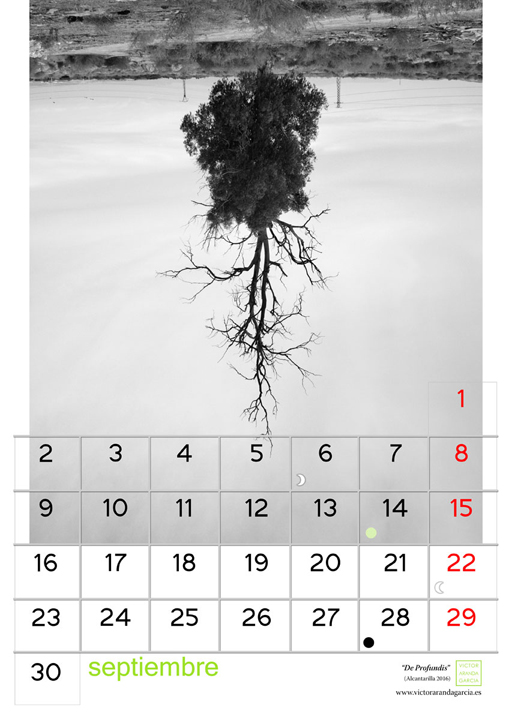 Página del calendario con la foto de un árbol puesto boca abajo cuyas ramas desnudas en parte recuerdan a unas raíces
