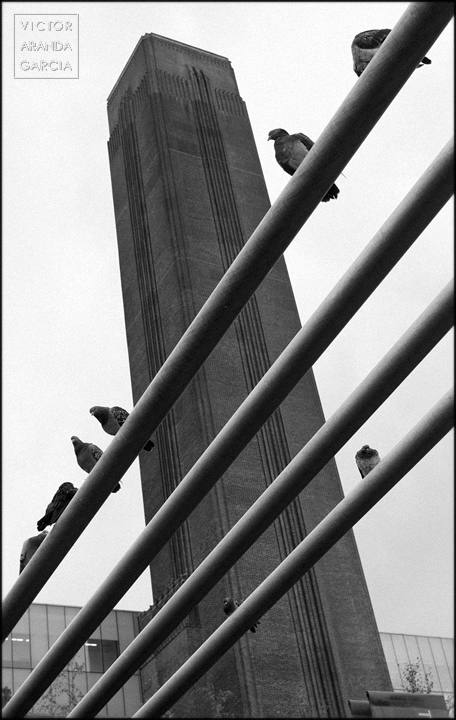 Torre Tate en Londres con palomas